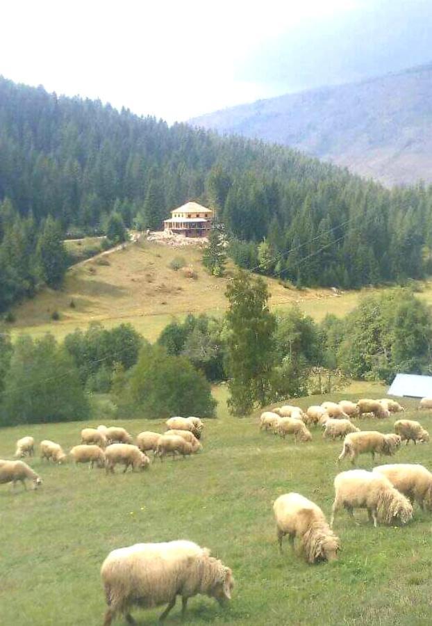Isov Ranch Plav Exterior foto