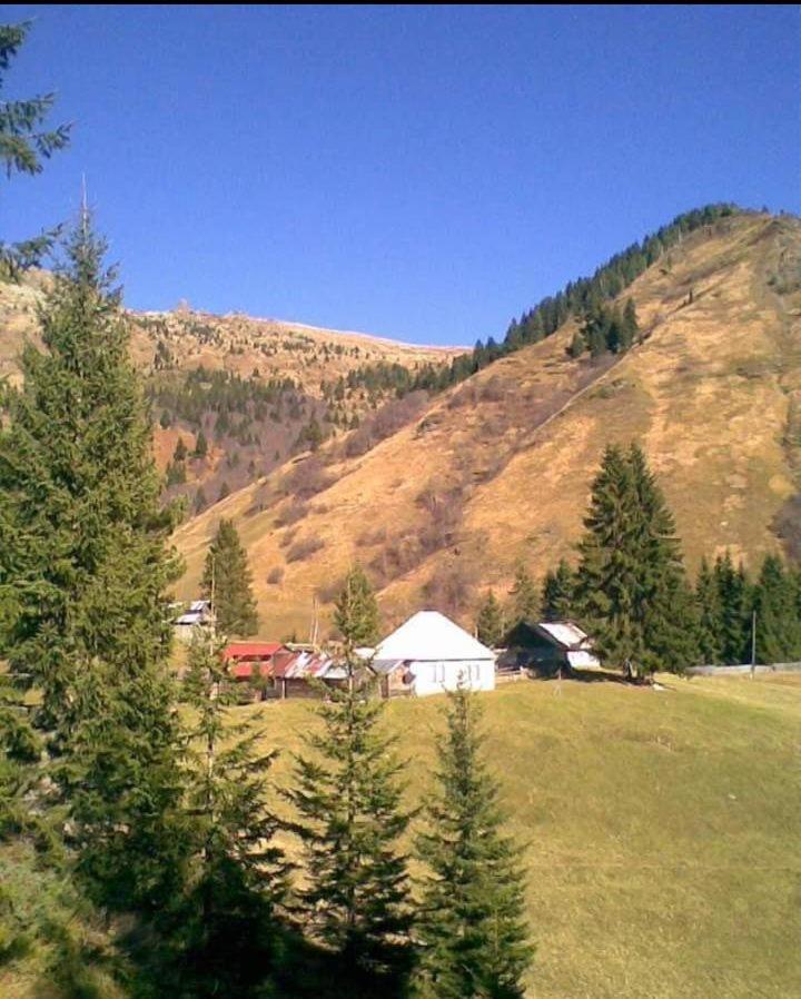 Isov Ranch Plav Exterior foto